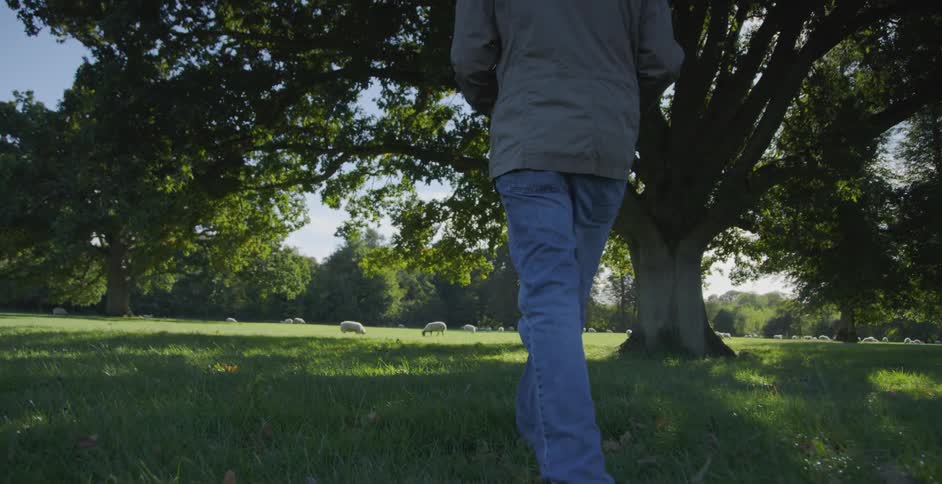A man walks on a grassy field under trees