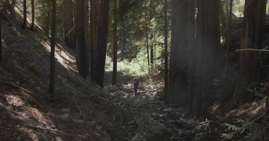 Two people walk through the woods