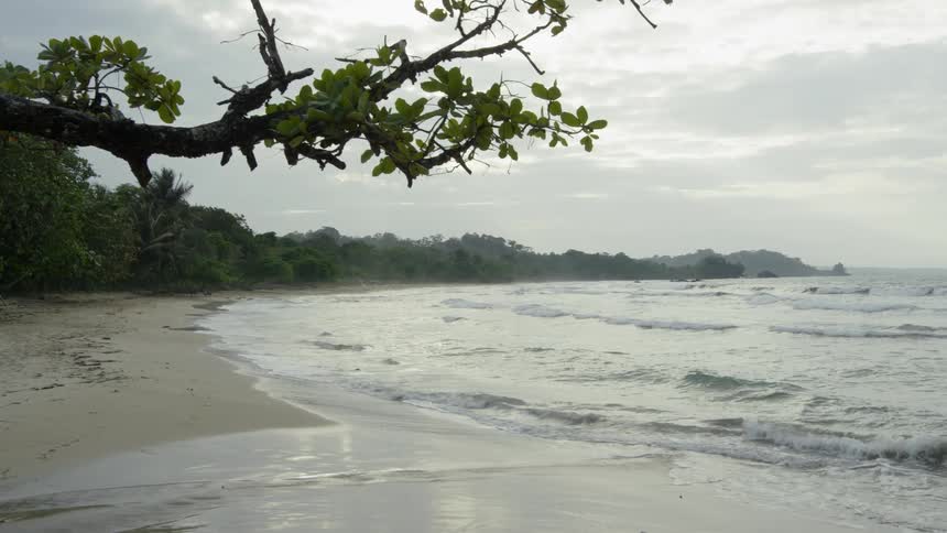 Ocean wave wash ashore a beach