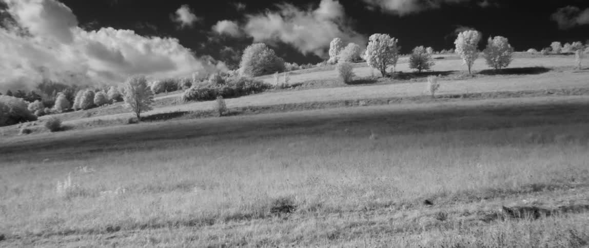 A grassy area with some trees and a dark sky with fluffy white clouds