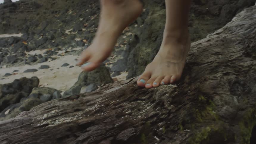 A person is walking on a fallen tree in the sand