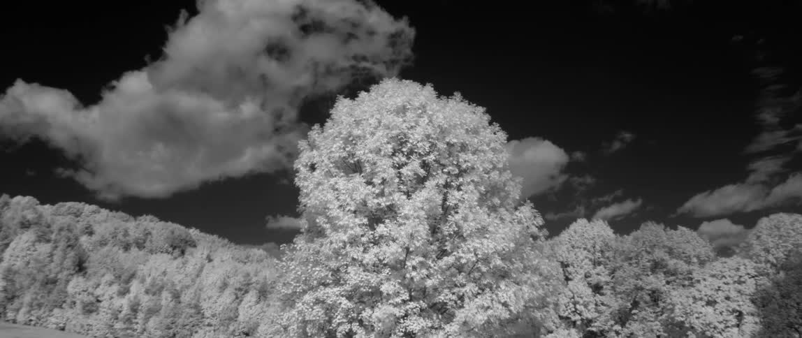 Clouds float above rural trees and hills