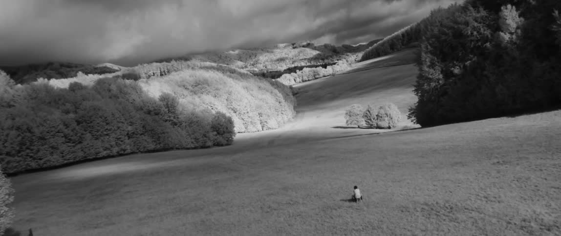 A person sits alone in a grassy field