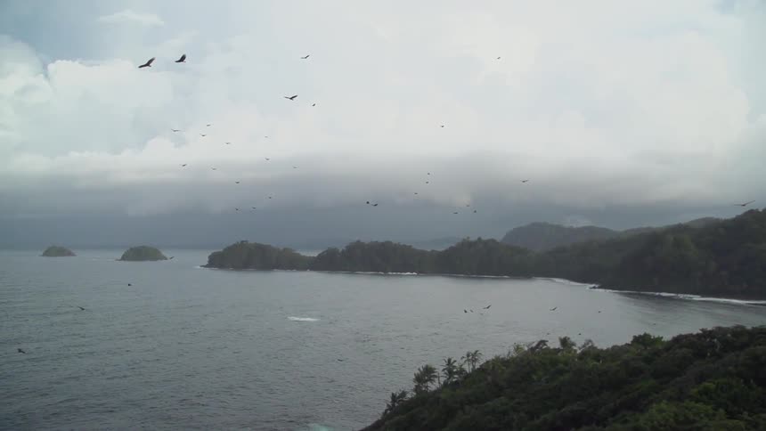 Birds flying over a hill lined coast on a cloudy day
