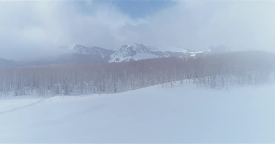 A person walks out into the fog on the snow covered field