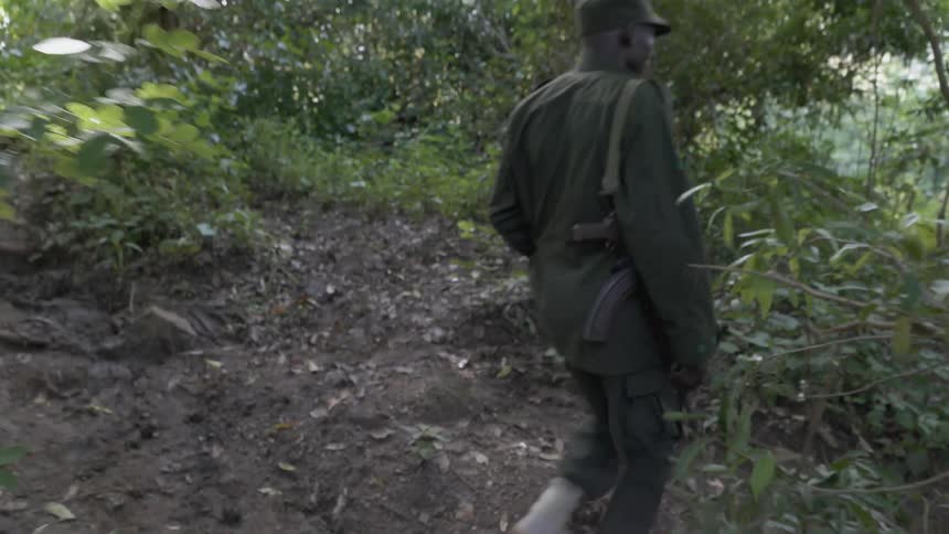 Man with rifle walks through forest