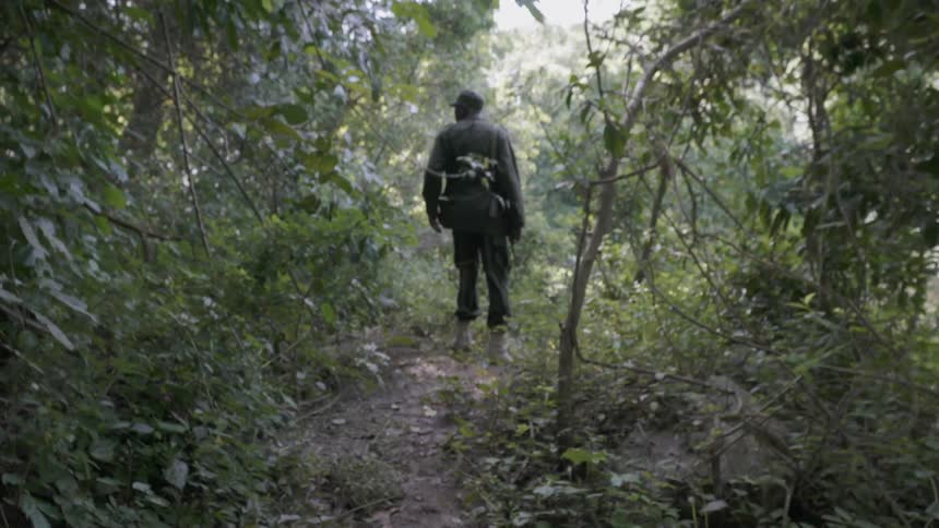 Soldier carrying a gun walks through the woods on a sunny day