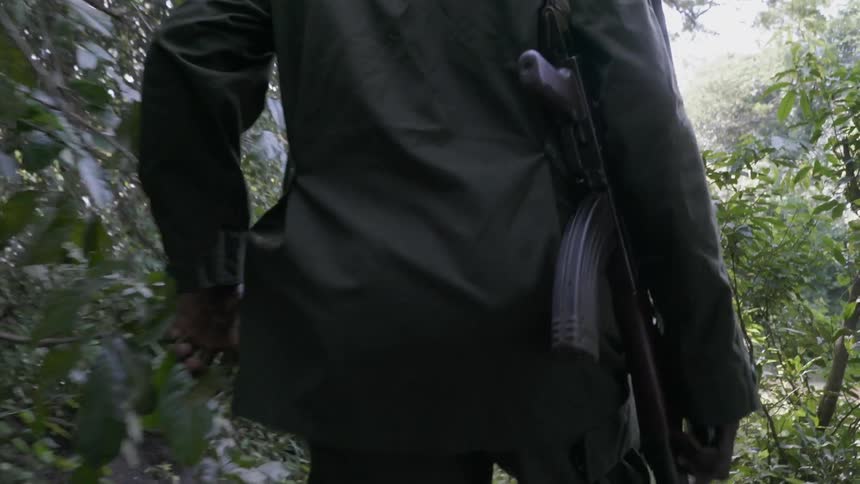 An armed soldier walks in a forest