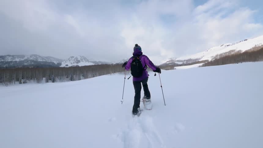 Person uses poles and snowshoes to walk through a field of snow