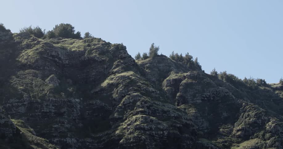 Bushes on the hill sit under a blue sky