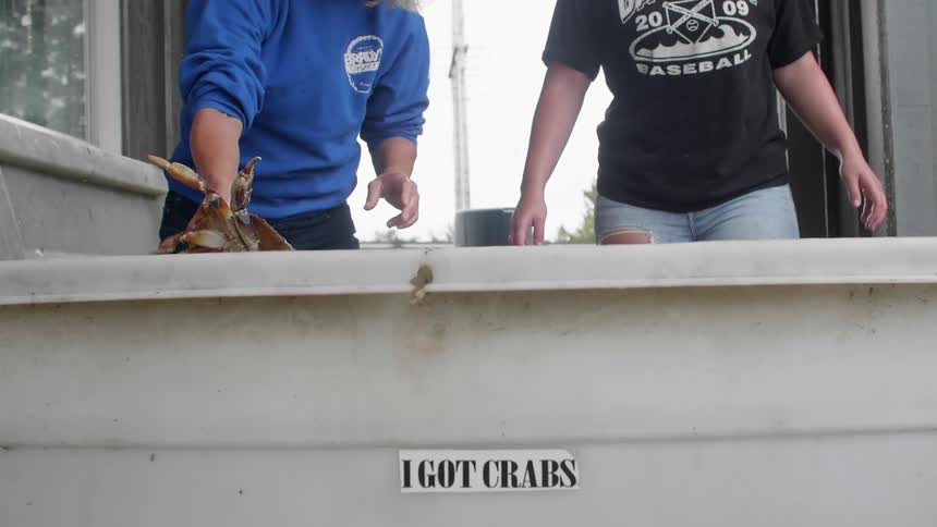 Man pulls a crustacean from a bin