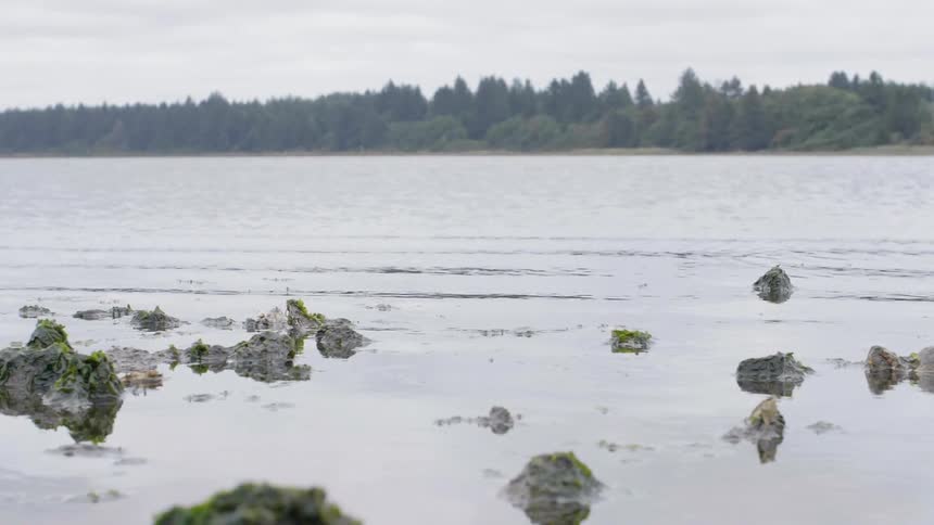 Lake water ripples towards the shore