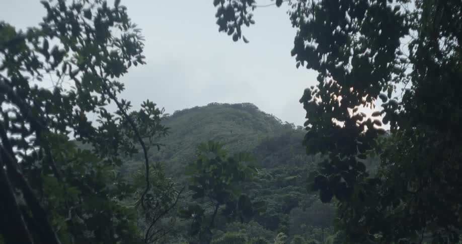 Mountain range over forested valley