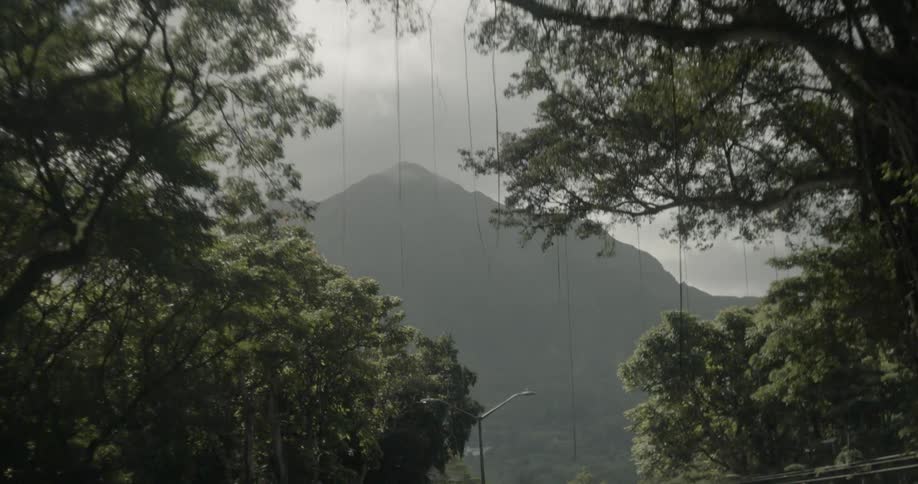 Sun shines through trees and clouds hover over a mountain