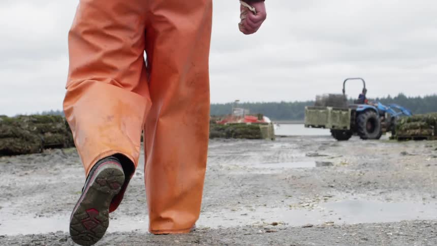 A man wearing orange waders and boots walks toward the water's edge