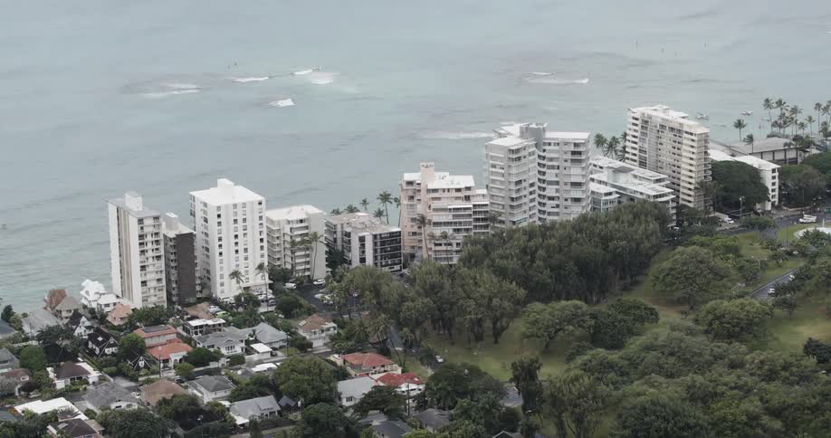 Trees and buildings along the coast