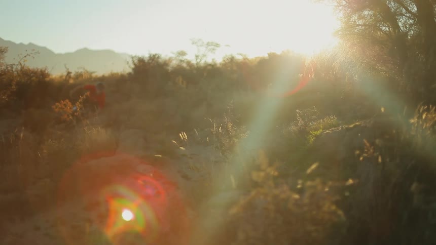 Man rides a mountain bike down a hill on a sunny day
