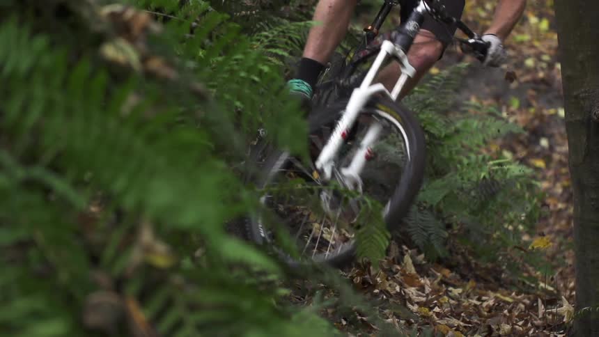 Man rides his mountain bike in the woods