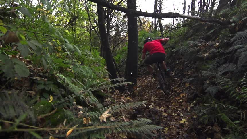 Man riding his bike down a forest path