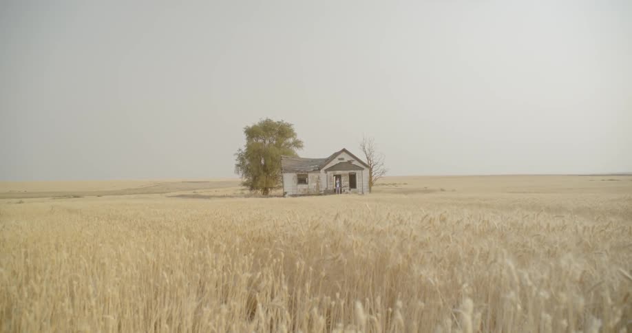 House in a large empty field on a sunny day