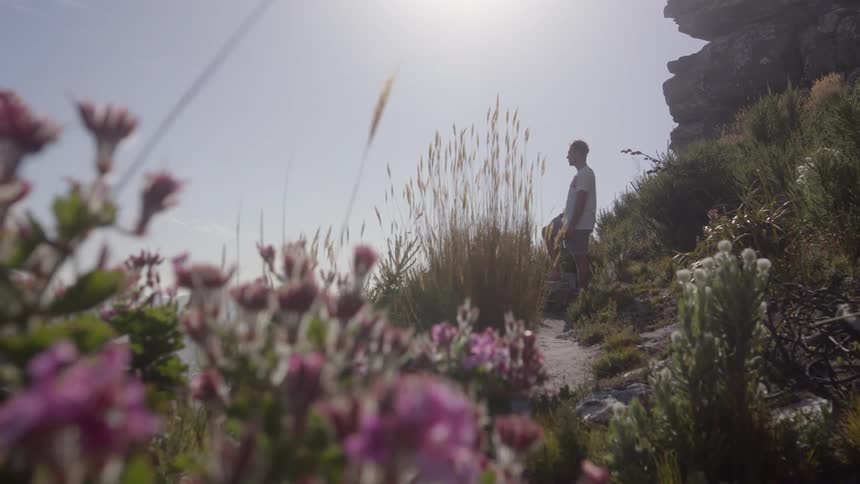 Man sits on a hilltop near purple flowers