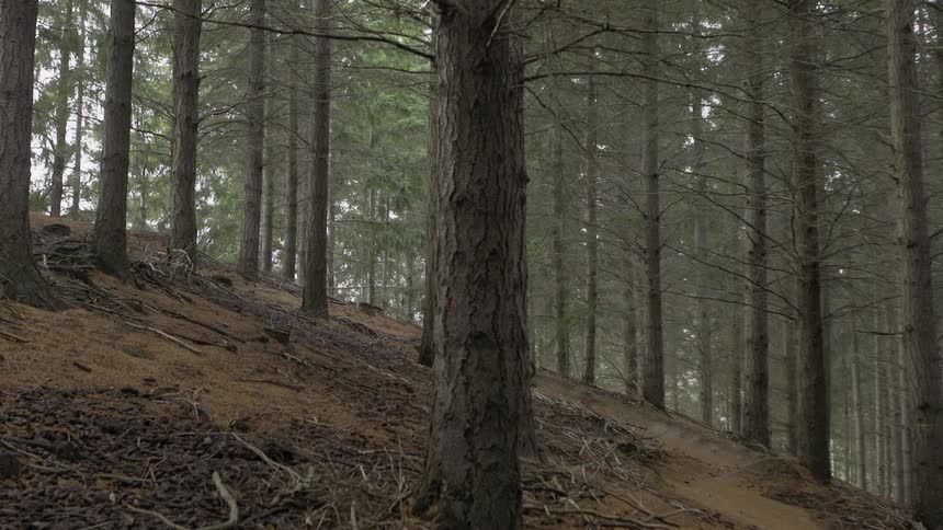 Man riding and jumping downhill on his bike