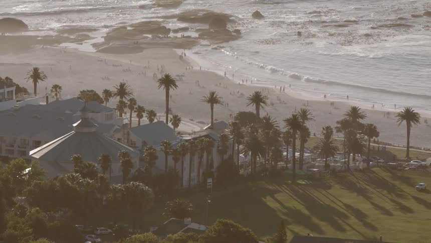 Waves roll onto a beach lined with palm trees