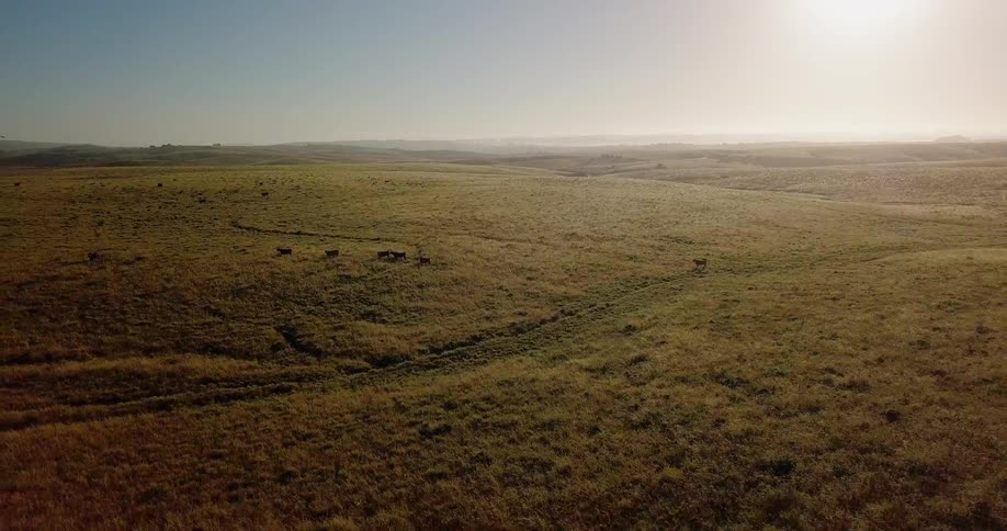 Sun shines over grassy flat plains