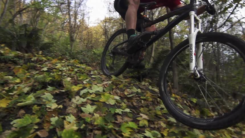 A person riding a dirt bike through the woods