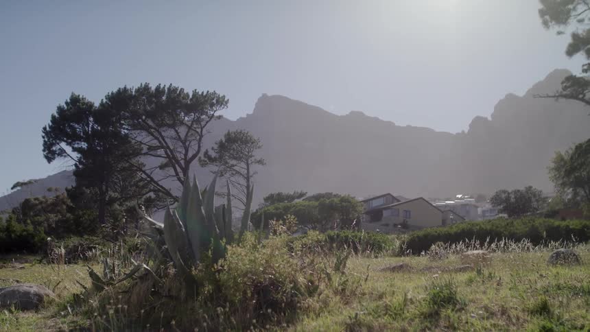 Sun shines over countryside