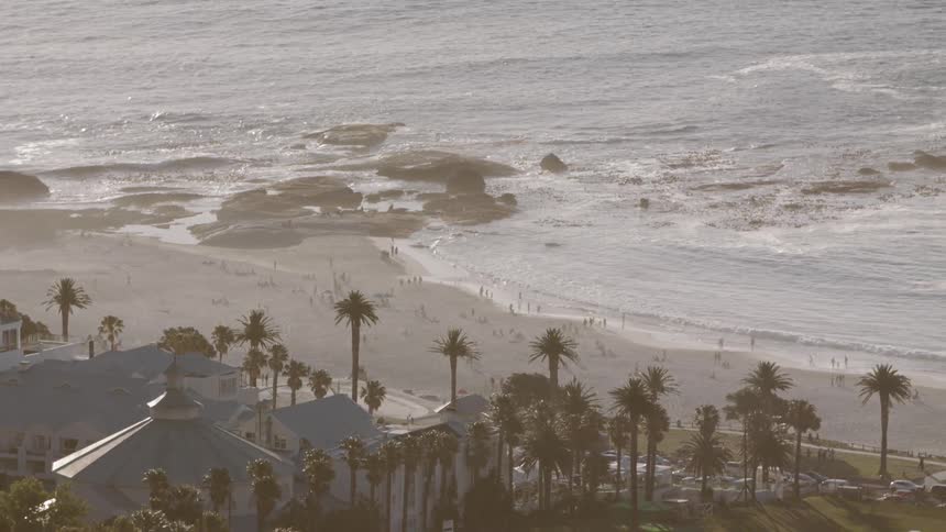 Waves roll into the sandy beach lined with palm trees