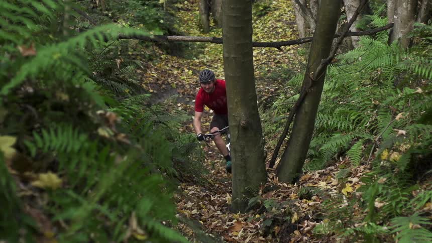 A man riding a bicycle up a hill in the woods