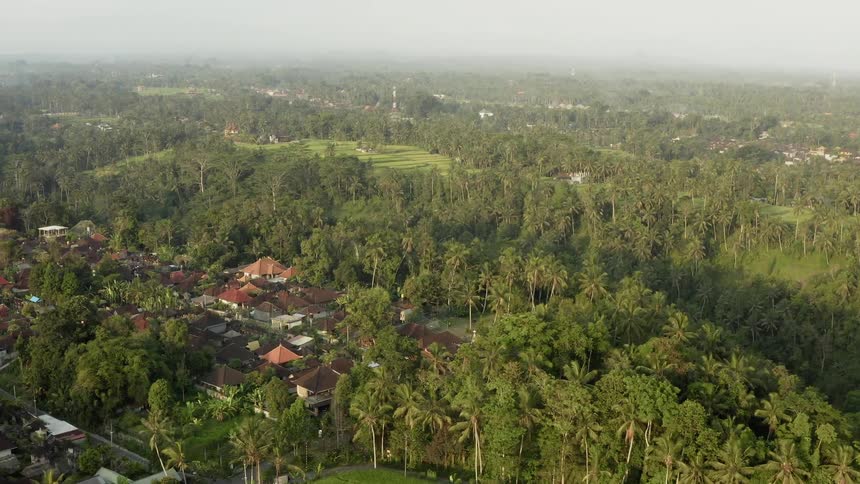Buildings sit nestled in the forest