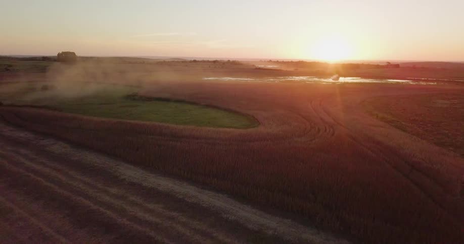 Fog is rolling over the farm at sunset