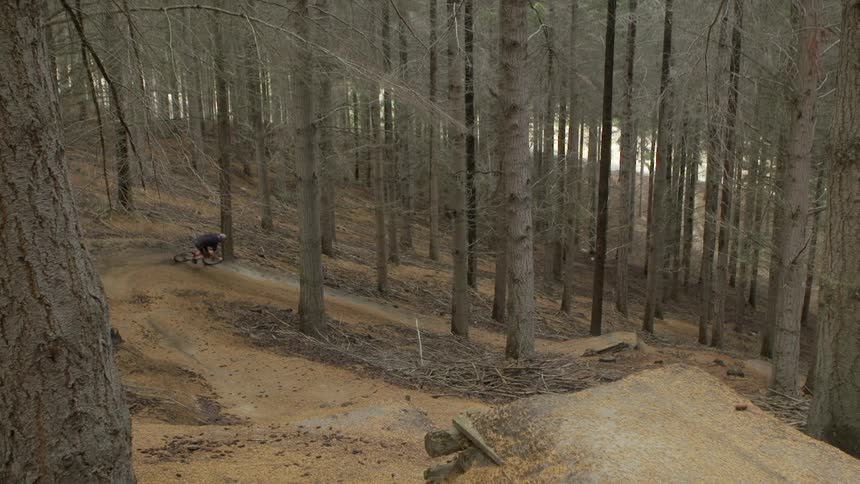 A person riding a dirt bike down a path in the woods
