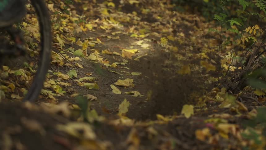 Autumn leaves blow around as a bike rides over them