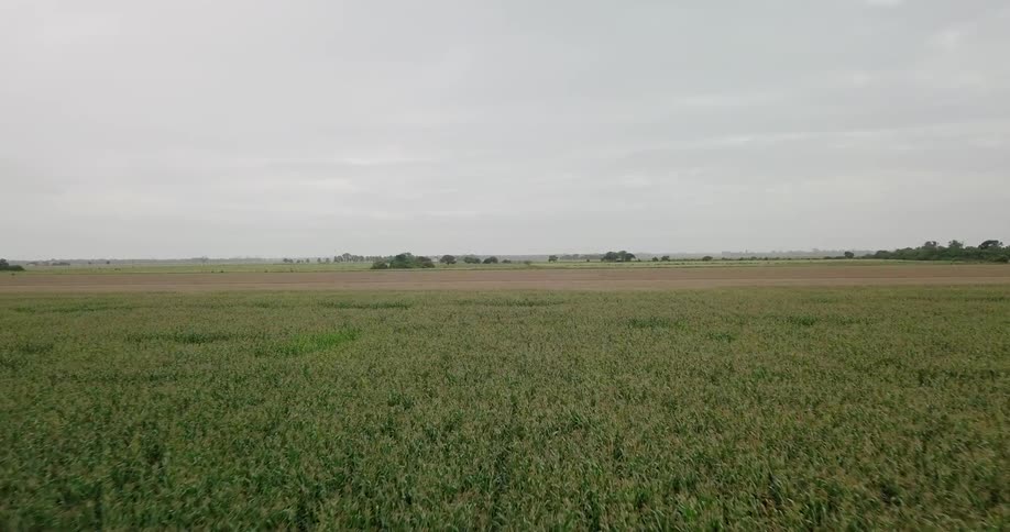 Fields of crops sit under the cloudy sky