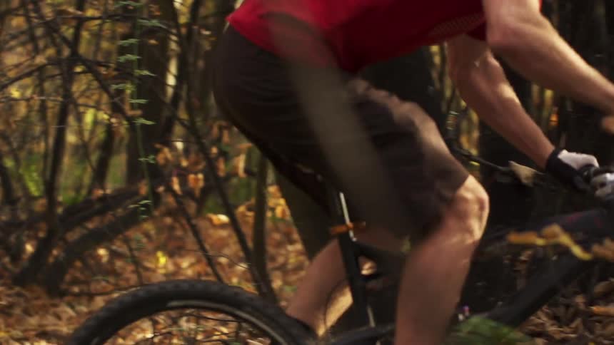 Man riding a mountain bike down a trail in the woods