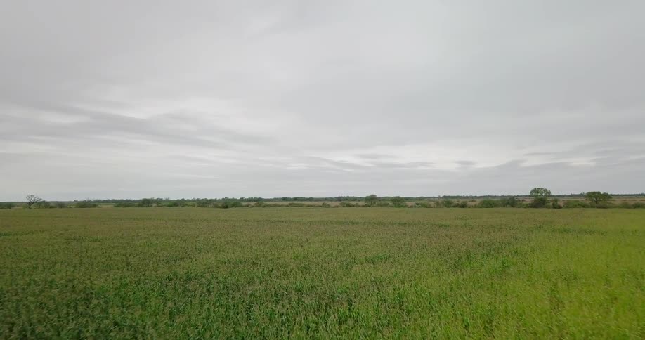 Large grassy field on a cloudy day