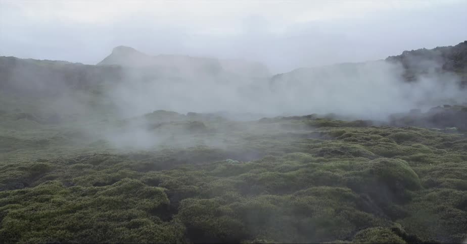 Mist floats over a rural field