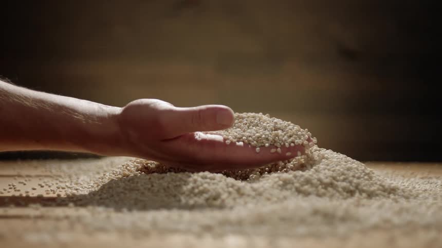 Hand picks up a handful of grain and sifts it