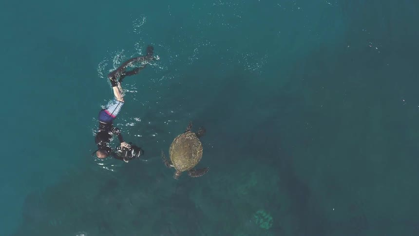 Person is snorkeling and photographing turtle in ocean reef