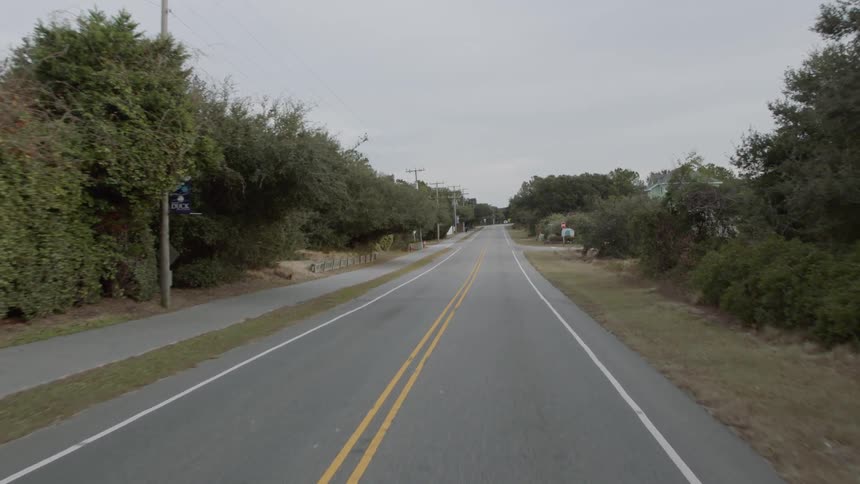 Long road stretches out between the rows of trees