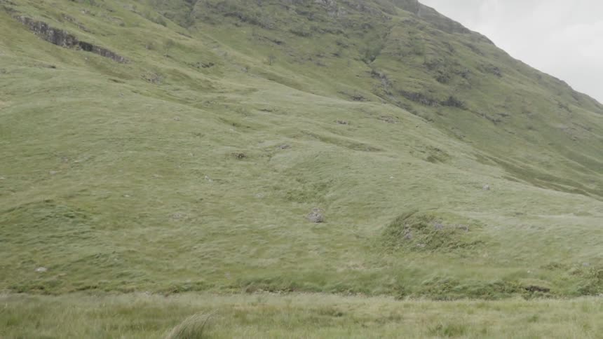 Lush green grass covers the hillside