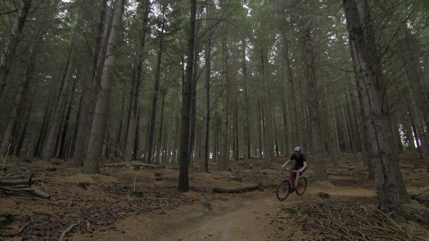 A person rides a dirt bike through the woods
