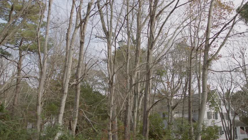 White house sits surrounded by trees