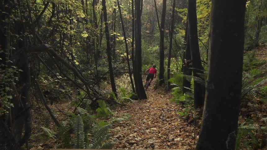 Person does a jump down a trail in the woods with his mountain bike