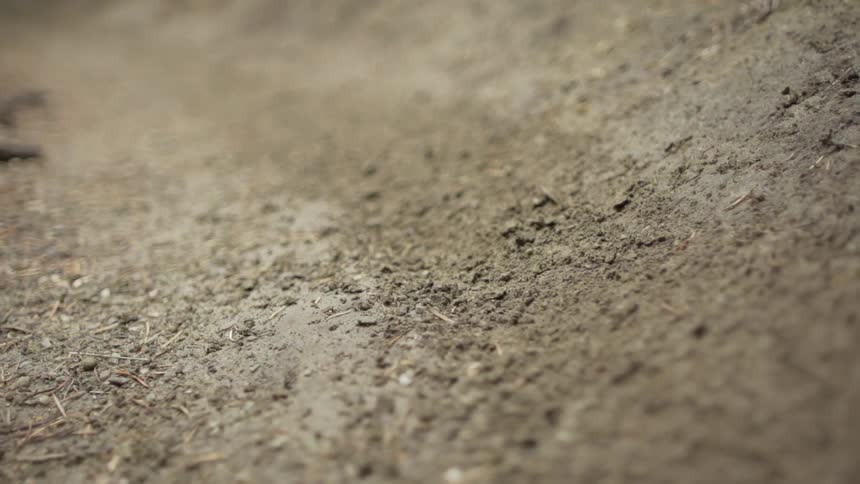 Close shot of gravel, mud and twigs