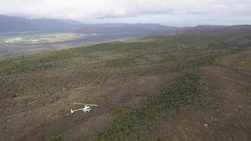 Helicopter flying over a forest