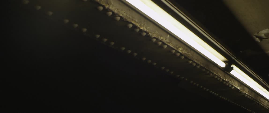 Fluorescent lights shine overhead